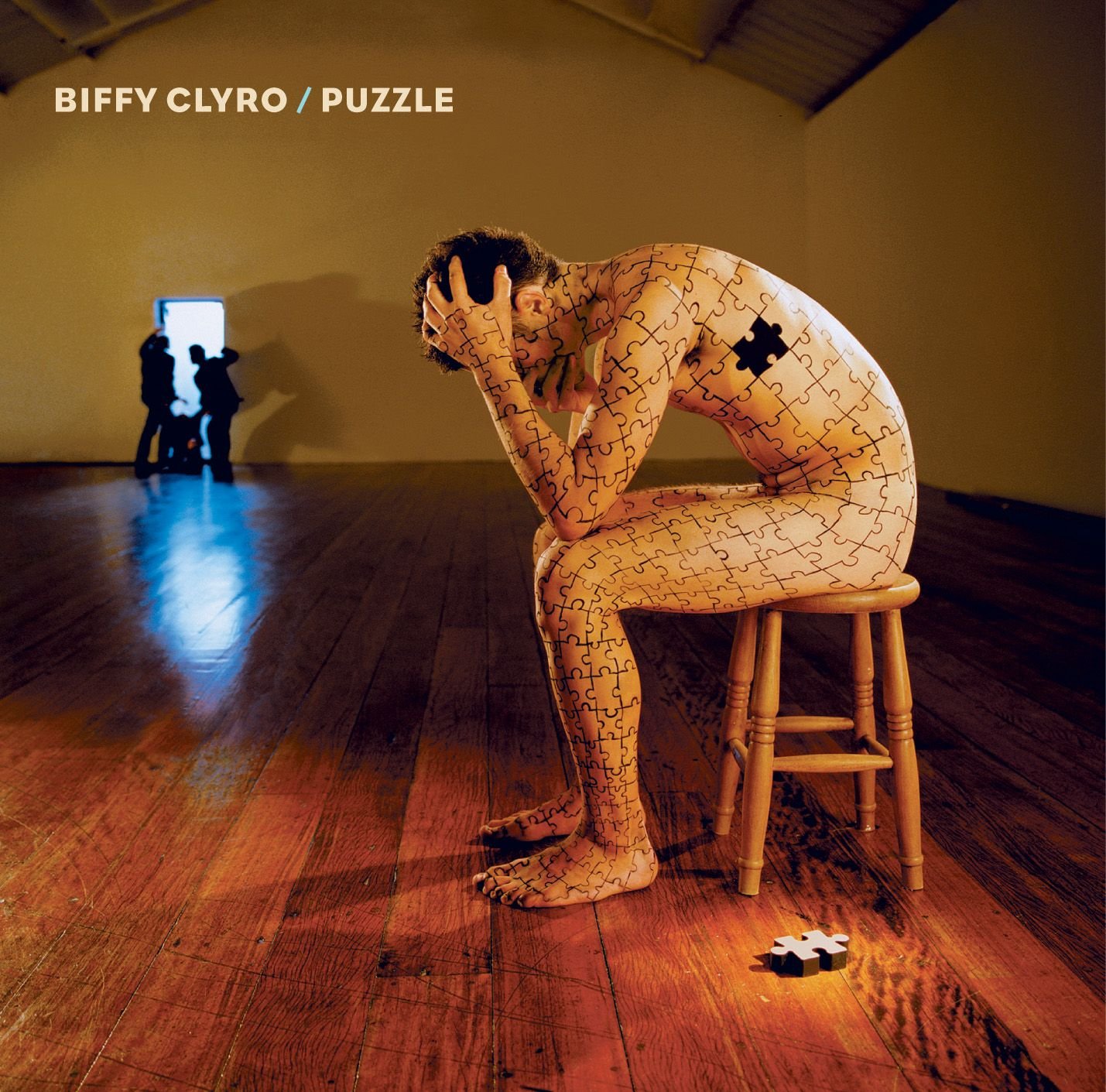 Cover for Puzzle