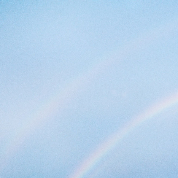 Cover for Never Enough