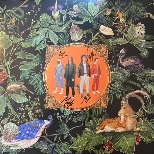 Cover for Amazing Things