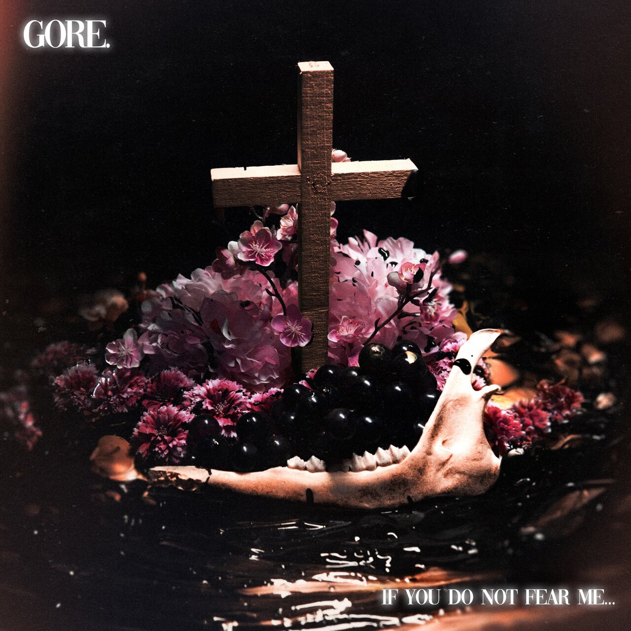 If You Do Not Fear Me… cover